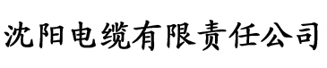 黄瓜视频黄APP在线观看电缆厂logo